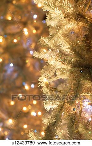 Stock Photo - Christmas tree. Fotosearch