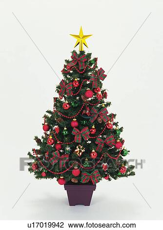 Stock Image - Christmas tree with tartan bows. Fotosearch