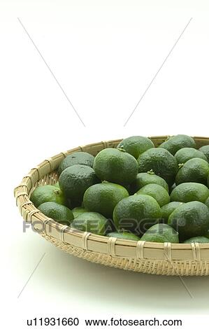 Stock Image - Citrus Depressa. Fotosearch