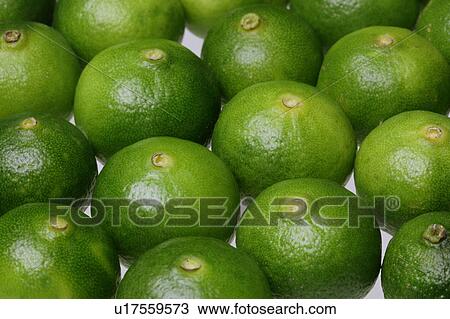 Stock Image - Citrus depressa. Fotosearch