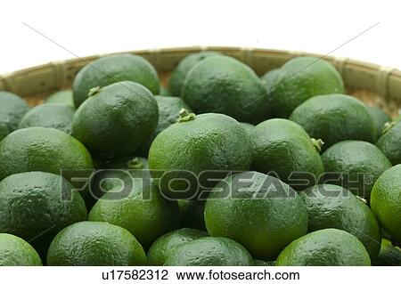 Stock Image - Citrus Depressa. Fotosearch