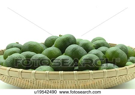 Stock Image - Citrus Depressa. Fotosearch