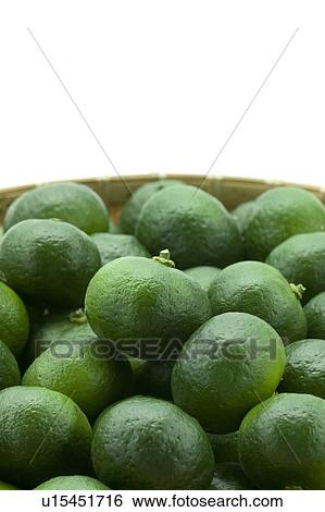 Stock Photograph - Citrus Depressa. Fotosearch