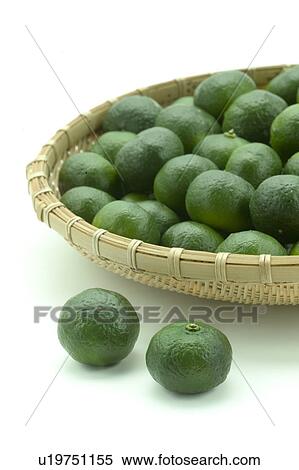 Citrus Depressa View Large Photo Image Stock Photography - Citrus Depressa. Fotosearch