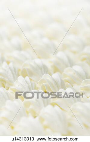 Close up of cream decorations, full frame View Large Photo Image Stock Image - Close up of cream decorations, full frame. Fotosearch