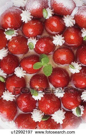 Close up of strawberry tart, full frame View Large Photo Image Stock Photo - Close up of strawberry tart, full frame. Fotosearch