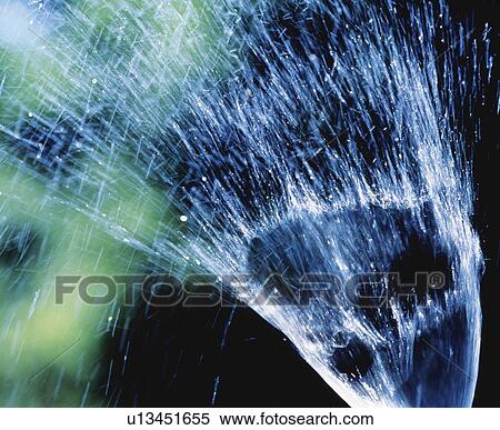 Close up of water spraying from a garden hose View Large Photo Image Stock Photography - Close up of water spraying from a garden hose. Fotosearch