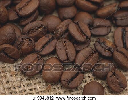 Coffee beans View Large Photo Image Stock Image - Coffee beans. Fotosearch