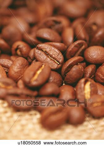 Stock Photo - Coffee beans. Fotosearch