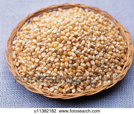 Corn in basket View Large Photo Image Stock Image - Corn in basket. Fotosearch