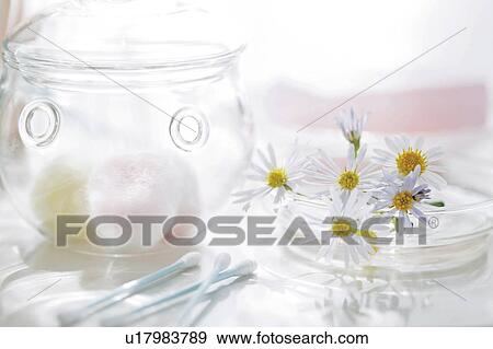 Cotton swabs and flowers in bathroom View Large Photo Image Stock Photo - Cotton swabs and flowers in bathroom. Fotosearch
