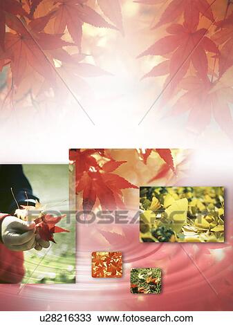 Stock Image - Digital composite of autumn. Fotosearch