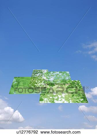 Stock Image - Digital composite of tree in the sky. Fotosearch