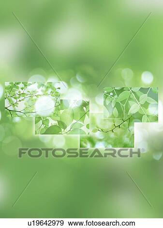 Stock Photo - Digital composite of tree. Fotosearch