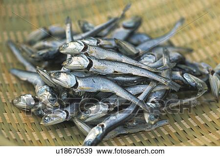 Stock Photo - Dried anchovies. Fotosearch