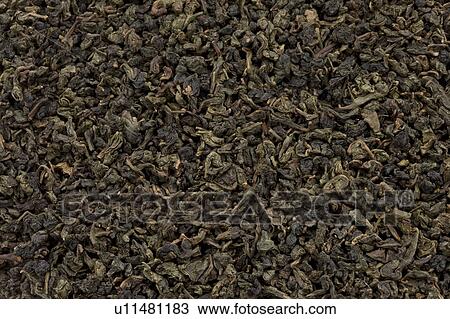 Dried Tea Leaves of Oolong Tea View Large Photo Image Stock Image - Dried Tea Leaves of Oolong Tea. Fotosearch