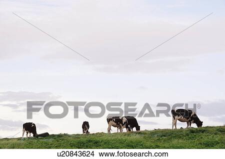 Farm View Large Photo Image Picture - Farm. Fotosearch