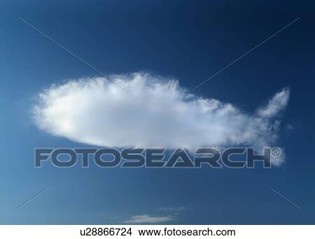 Picture - Fish Shaped Cloud. Fotosearch