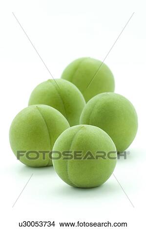 Five Unripe Plums View Large Photo Image Picture - Five Unripe Plums. Fotosearch