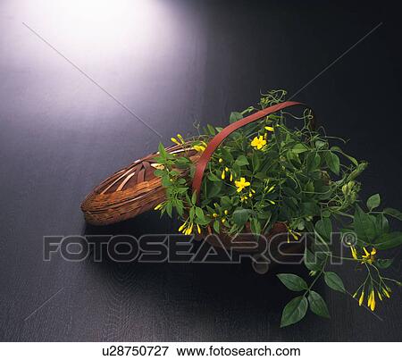 Stock Photo - Flowers in a basket. Fotosearch