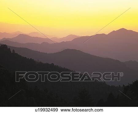 Stock Photo - Forest covered mountain range, Yoshino-machi, Nara Prefecture, Japan. Fotosearch
