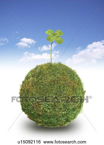 Four leaf clover on grass covered sphere View Large Photo Image Stock Photograph - Four leaf clover on grass covered sphere . Fotosearch