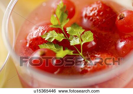 Fresh berry sorbet View Large Photo Image Stock Photograph - Fresh berry sorbet. Fotosearch