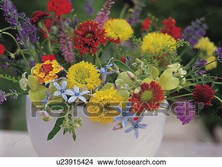 Freshly picked flowers on a table outside View Large Photo Image Picture - Freshly picked flowers on a table outside. Fotosearch