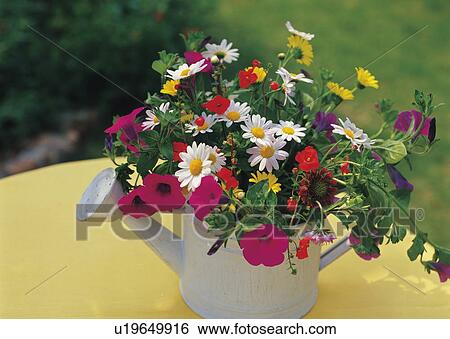 Stock Photograph - Freshly picked flowers on a table outside. Fotosearch