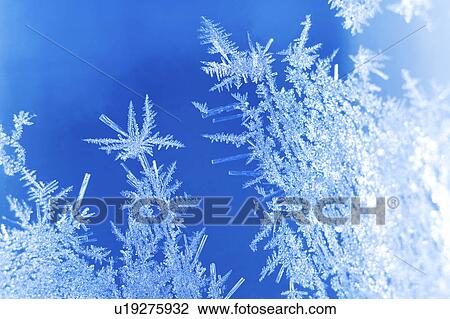 Frost crystals on glass View Large Photo Image Stock Image - Frost crystals on glass. Fotosearch