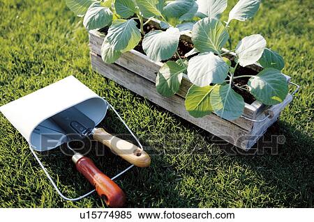 Stock Photography - Gardening trowel and potted plant. Fotosearch