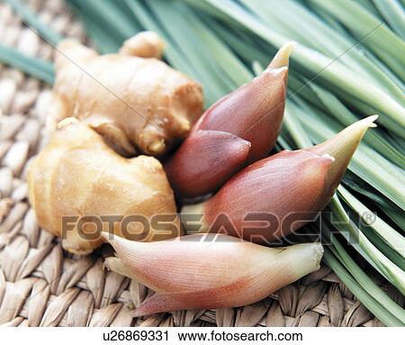 Ginger in a basket View Large Photo Image Stock Image - Ginger in a basket. Fotosearch