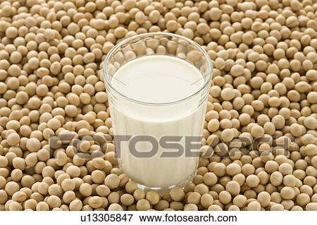Stock Photo - Glass of Soy Milk and Soybeans. Fotosearch