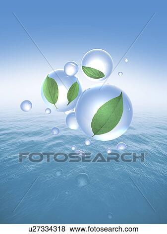 Stock Photo - Glass sphere with leaves inside floating above water. Fotosearch