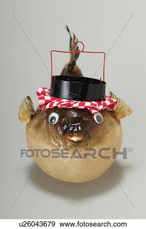 Stock Photo - Globefish Paper Lantern . Fotosearch