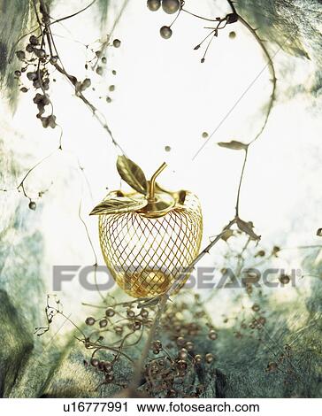 Gold apple ornament and berries View Large Photo Image Stock Image - Gold apple ornament and berries. Fotosearch