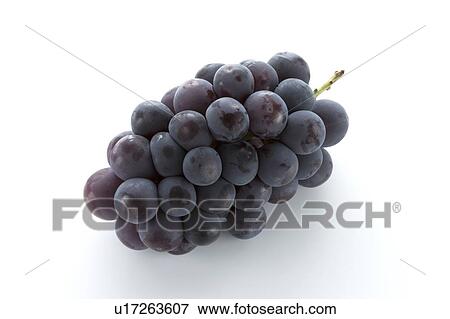 Grape Pione View Large Photo Image Stock Photo - Grape Pione. Fotosearch
