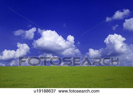 Green field and a blue sky View Large Photo Image Stock Photo - Green field and a blue sky. Fotosearch