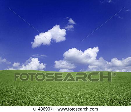 Stock Image - Green fields and a blue cloud filled sky. Hokkaido, Japan. Fotosearch