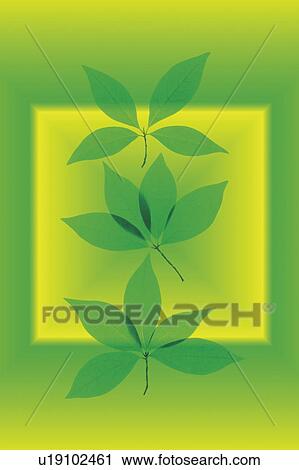 Green leaves View Large Photo Image Stock Image - Green leaves. Fotosearch