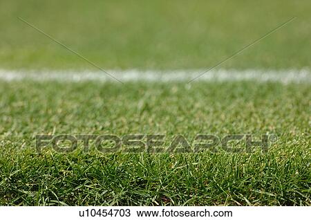 Stock Image - Ground level view of a sports field. Fotosearch