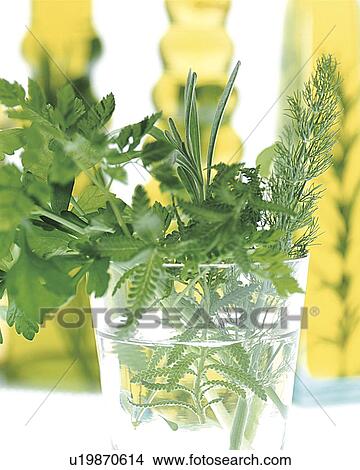 Herbs in a glass View Large Photo Image Picture - Herbs in a glass. Fotosearch