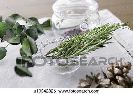 Herbs in a small bowl View Large Photo Image Stock Photography - Herbs in a small bowl. Fotosearch