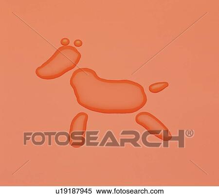 Illustration made of droplets of water depicting a dog View Large Photo Image Stock Photography - Illustration made of droplets of water depicting a dog. Fotosearch