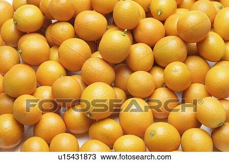 Kumquats View Large Photo Image Stock Image - Kumquats. Fotosearch