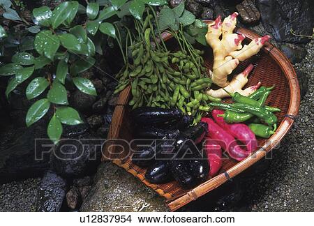 Picture - Kyoto vegetables. Fotosearch