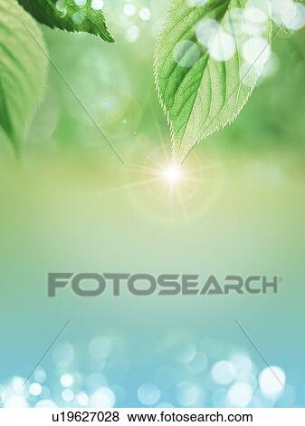 Stock Photo - Leaves and water. Fotosearch