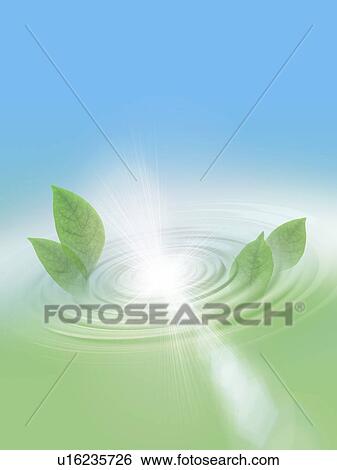 Stock Photograph - Leaves in rippled water. Fotosearch