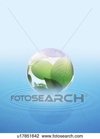 Leaves in sphere above water View Large Photo Image Stock Image - Leaves in sphere above water. Fotosearch