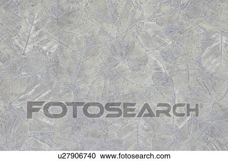 Leaves patterns, full frame View Large Photo Image Stock Image - Leaves patterns, full frame. Fotosearch